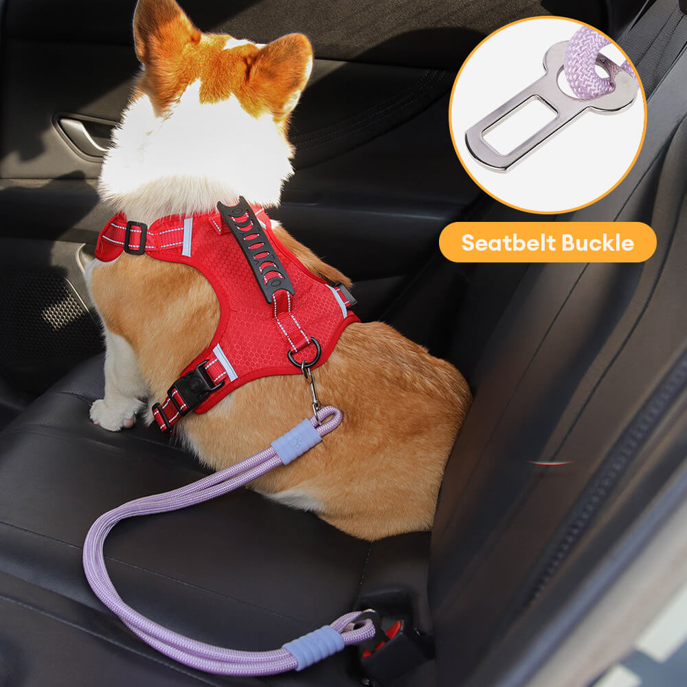 Durable pet car seat belt leash with metal buckle, ensuring dog safety in vehicles