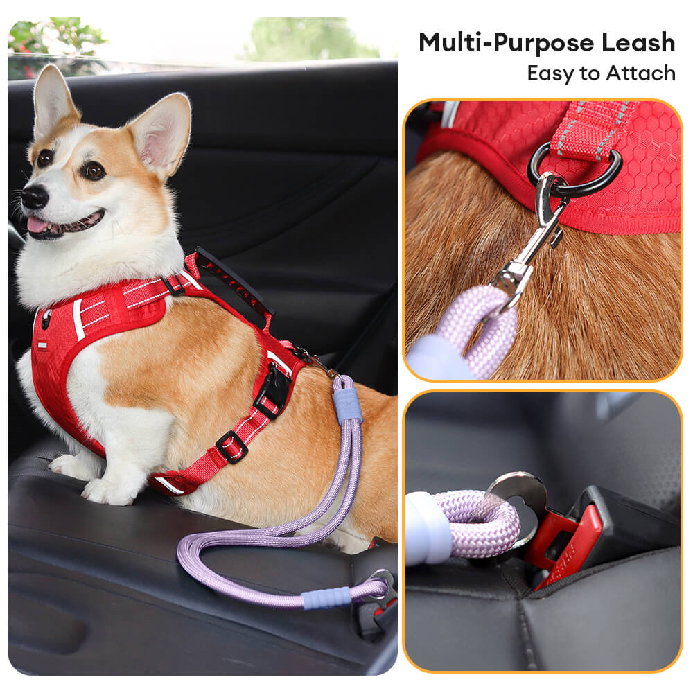 Adjustable nylon pet car safety leash, universal fit for all cars, dog travel essential