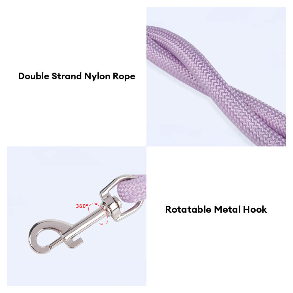 Close-up of pet car safety seat belt leash buckle, robust car accessory for pets