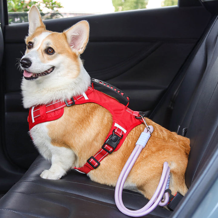 Pet car safety seat belt leash, easy to attach to harness, comfortable dog travel
