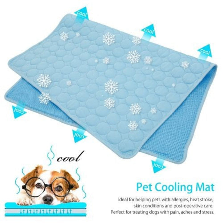 Dog comfortably lying on a blue Pet Cooling Mat, clearly enjoying the cooling gel. Pet comfort, dog accessories.