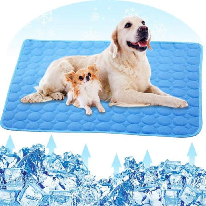 Cat peacefully napping on a Pet Cooling Mat on a patio, portable pet mat. Essential summer pet supplies for pet care.