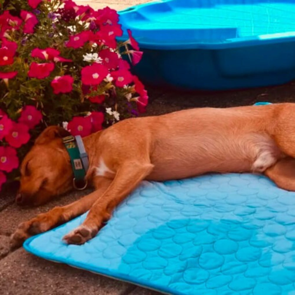 Multiple sizes of the blue Pet Cooling Mat stacked, showing availability for small to large pets. Cooling gel mat.