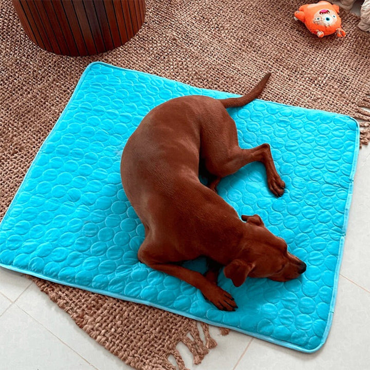 Pet Cooling Mat in a dog crate, providing a cool and comfortable dog bed for summer. Pet care solution.