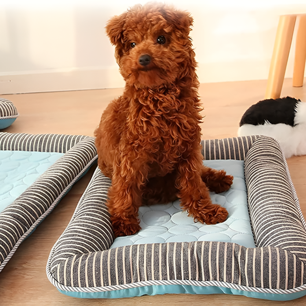 Summer pet supplies: cooling mat for dogs & cats, helps regulate body temperature, ideal for hot weather