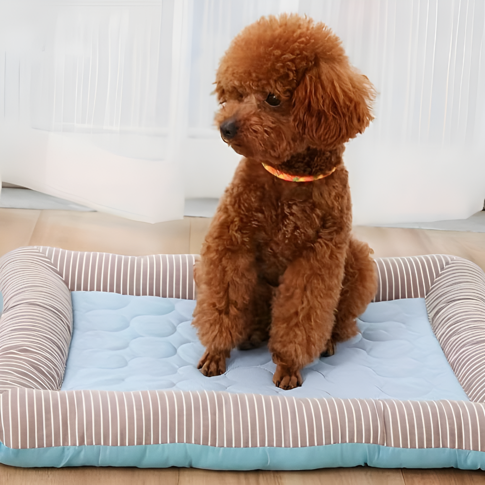 Pet relaxation accessory: dog & cat cooling bed, durable, easy-to-clean, enhances pet comfort