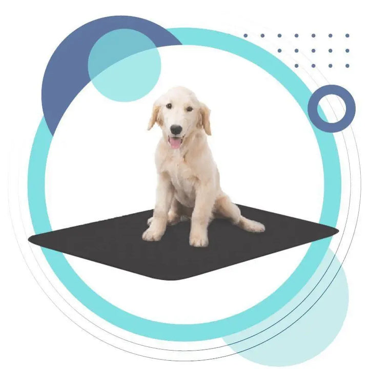 Cat bed cooling mat with non-slip base, moisture absorbent and breathable for pet comfort