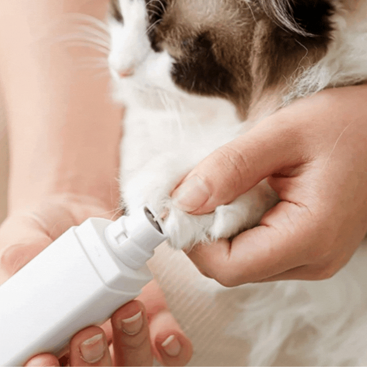 Close-up of pet digital claw grinder, showing LED display and precision grinding head for paw care