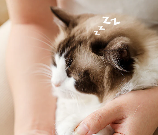 Quiet electric pet nail grinder with LED battery display, ideal for dog and cat grooming