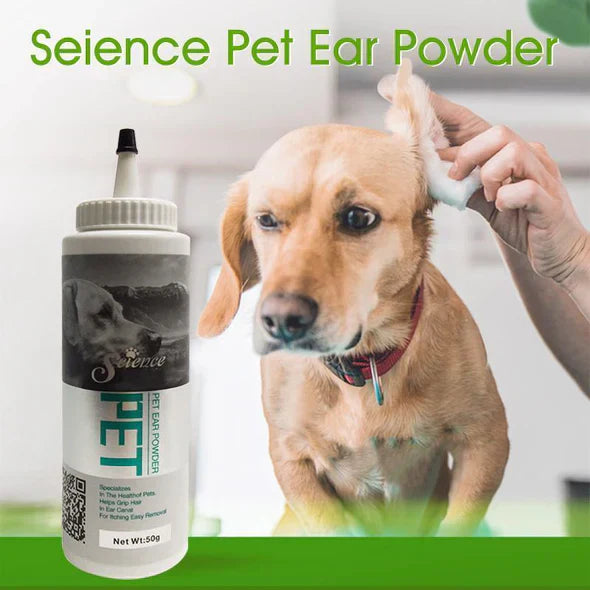 Close-up of pet ear care powder with applicator tip, for dog and cat grooming