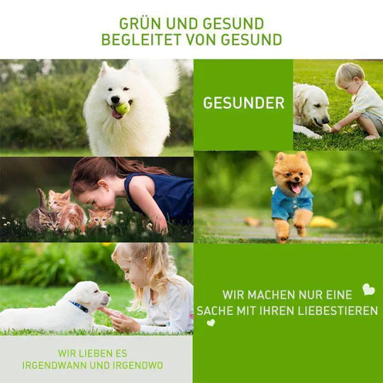 Pet ear care powder next to a dog's ear, showing application for health