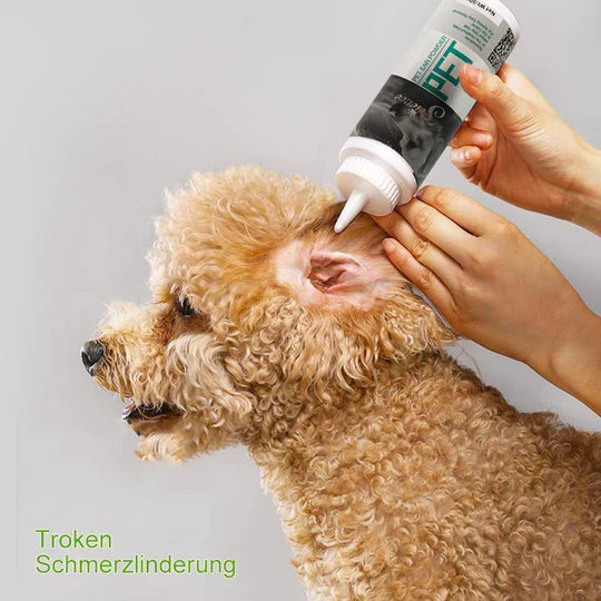 Arrangement of pet ear care powder, ear cleaner, and grooming tools
