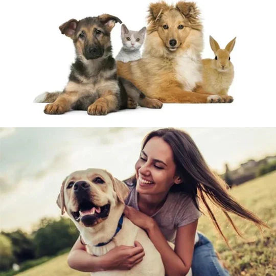 Illustration of a happy dog after using pet ear care powder for itch relief
