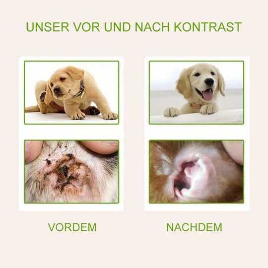 Ingredients list on pet ear care powder bottle, focusing on pet health