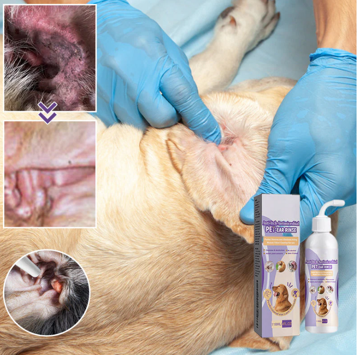 Hand holding Pet Ear Cleaner bottle, ready for pet ear cleaning and welfare