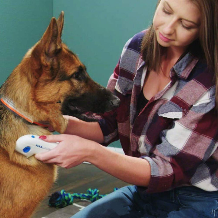 Pet electric flea remover comb for chemical-free flea control on all coat types, ensuring pet health.
