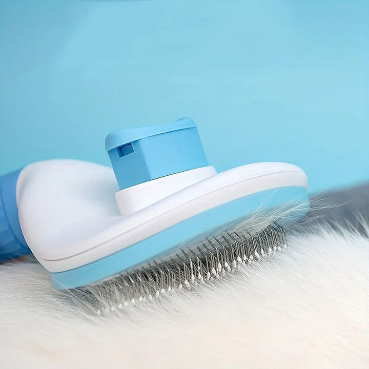 Pet owner using a self-cleaning grooming tool on a fluffy cat, showing effective fur care