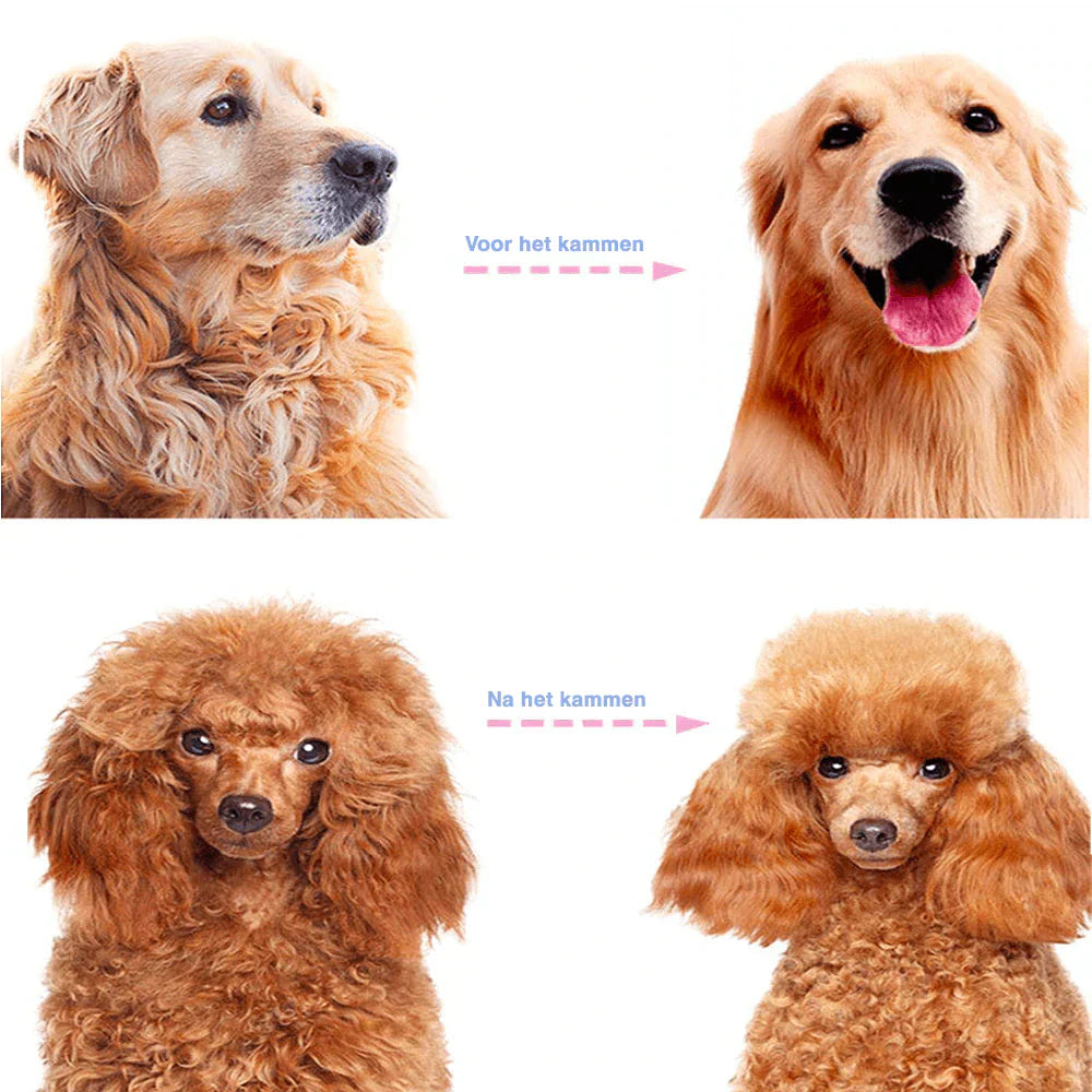 Efficient pet detangling comb, a must-have grooming tool for regular pet maintenance and fur care.