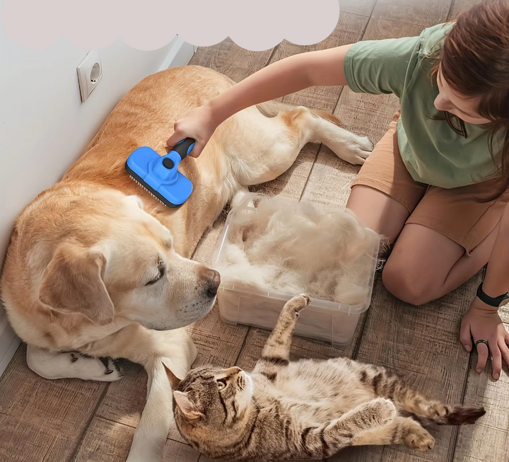 Pet grooming kit with self-cleaning brush, nail trimmers, & comb for dogs & cats