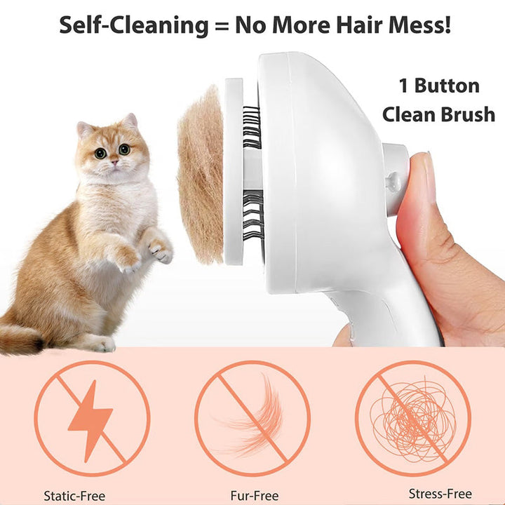 Steam brush effective for deshedding and hair removal on a short-haired dog