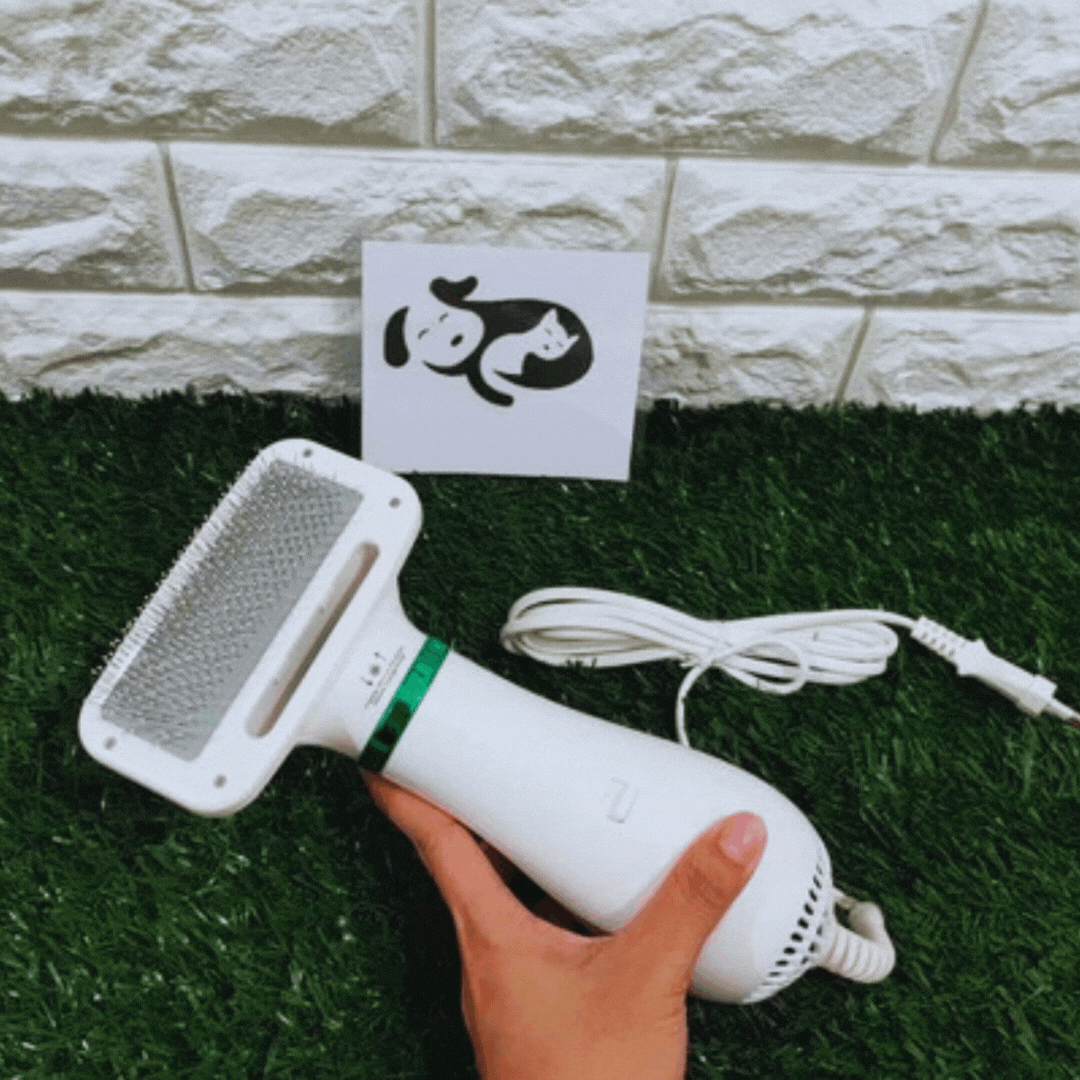 Compact pet hair dryer comb, perfect for quick drying and styling all pets