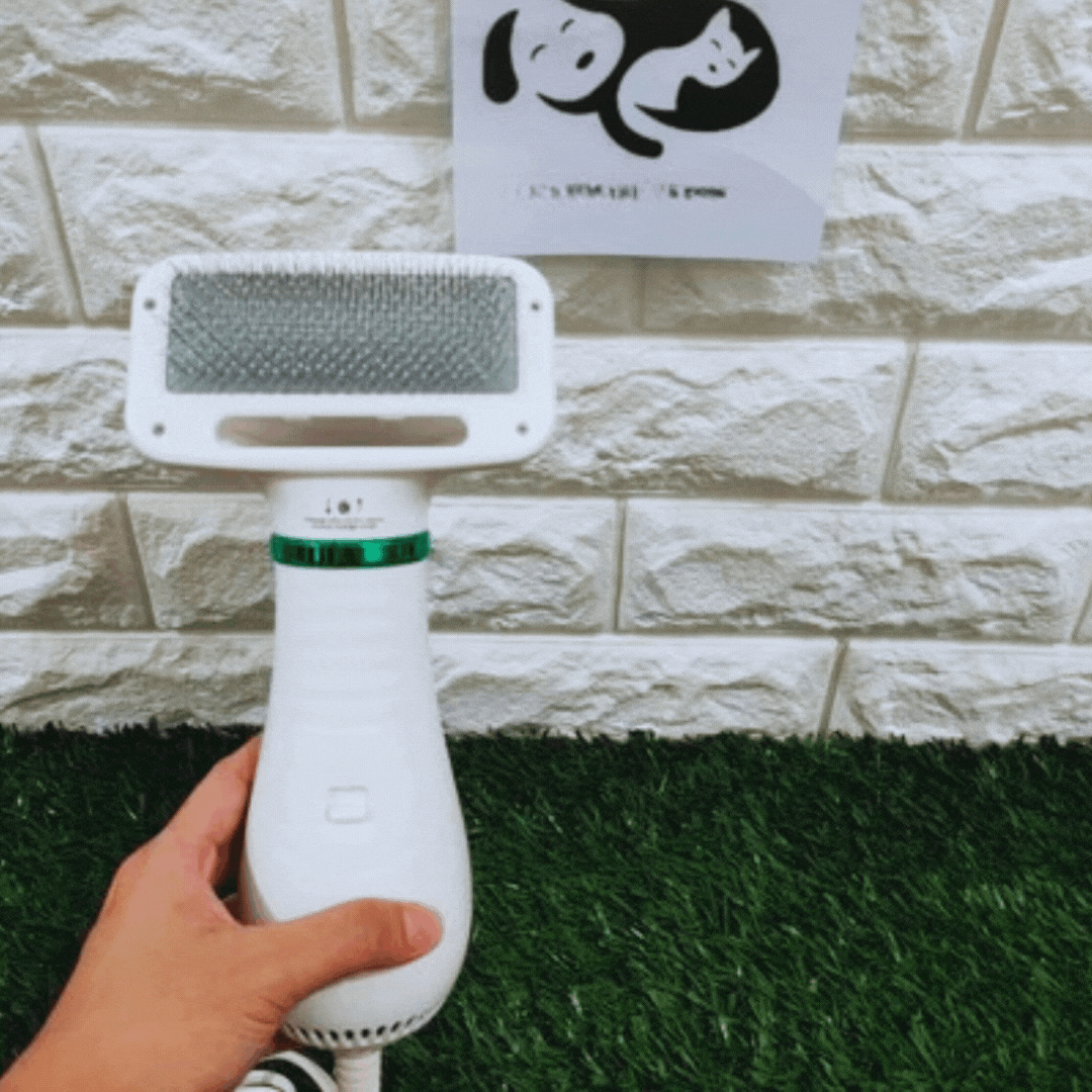 Professional pet hair dryer grooming comb with massager for cats, dogs, small animals