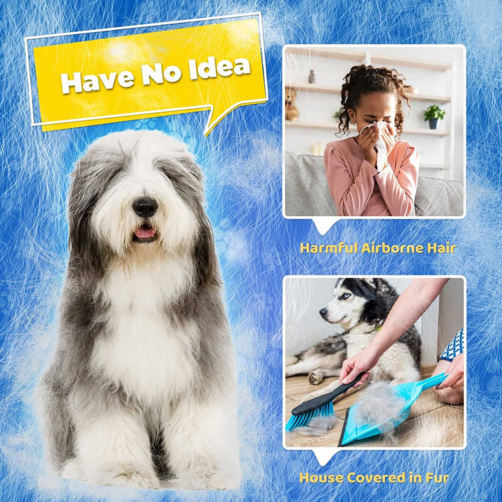 Dog shedding glove. Effective pet hair removal brush for all dog breeds, ensuring a clean coat.