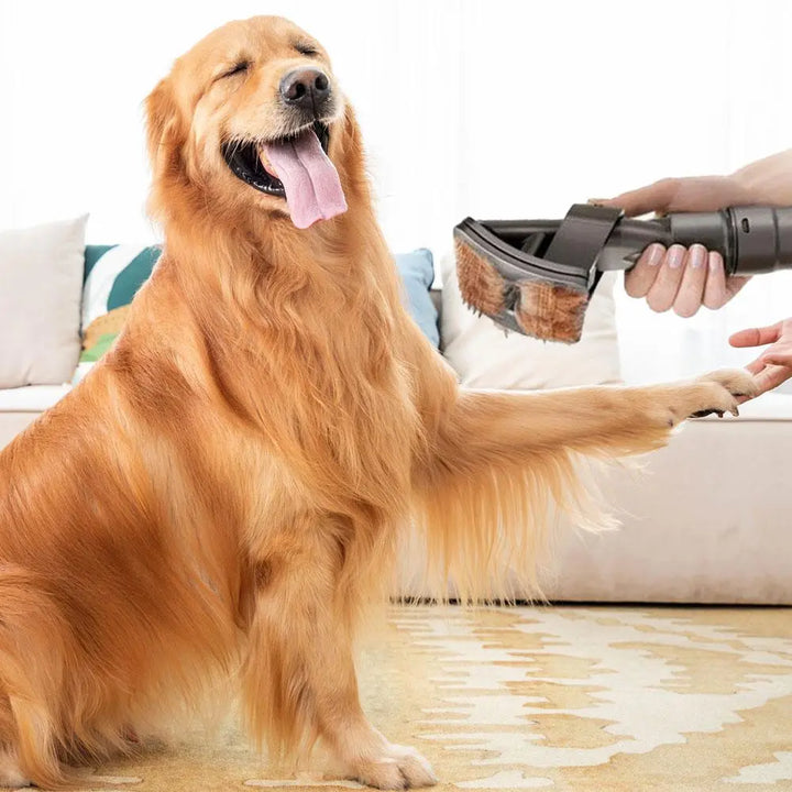 Pet Hair Vacuum Attachment for grooming and cleaning pet fur, effectively removing loose hair from dogs and cats.