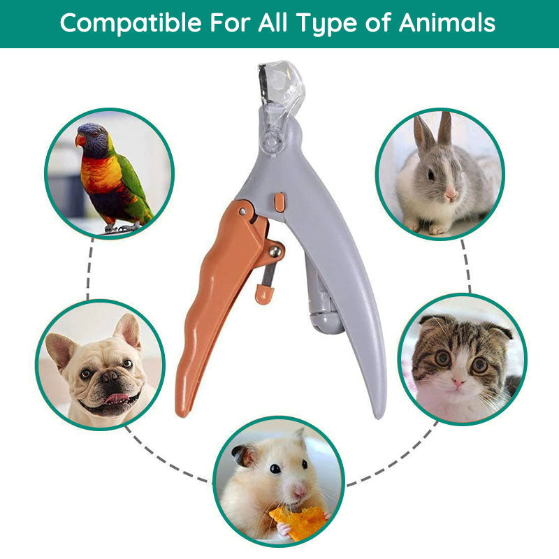 Essential pet grooming tool: LED nail clippers for effective dog & cat nail care and safe trimming.