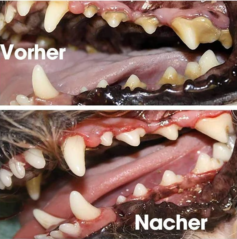 Graphic showing 120ml bottle of pet oral care spray, promoting healthy gums & fresh breath