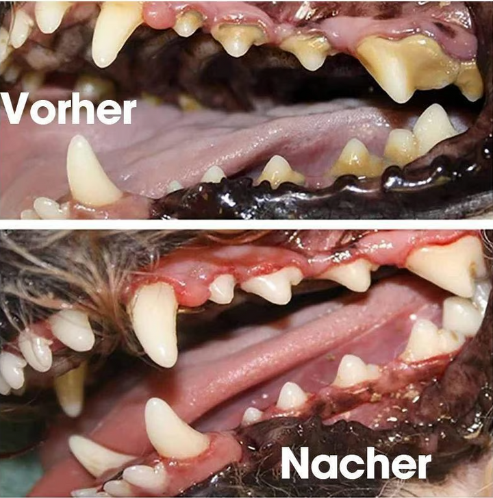 Graphic showing 120ml bottle of pet oral care spray, promoting healthy gums & fresh breath