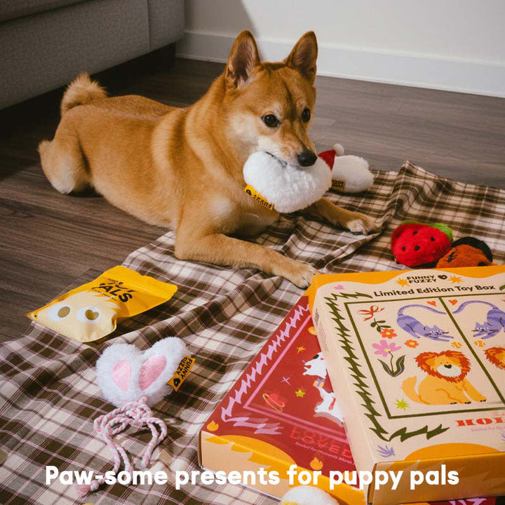 Interactive puppy plush squeaker toys in a charming box set, encourages active play.