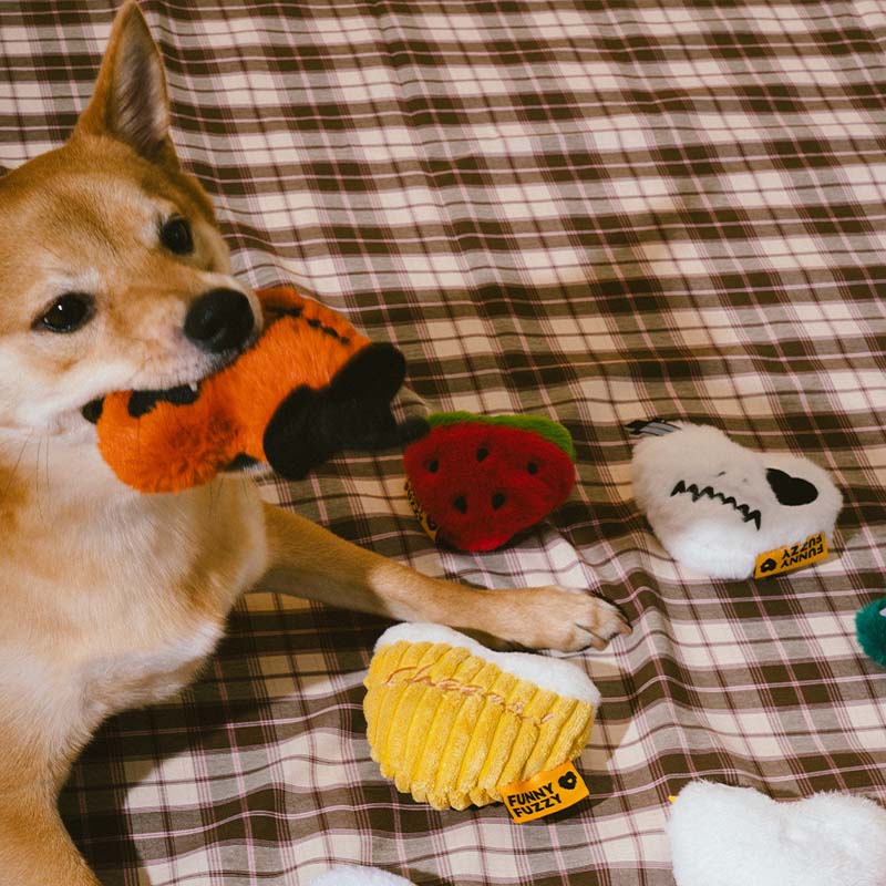 Soft squeaker dog toys with unique designs from a collectible pet gift box.