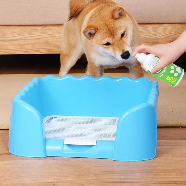 Pet Potty Training Aid Spray for Dogs & Cats, 8oz bottle, makes house training easier and faster.