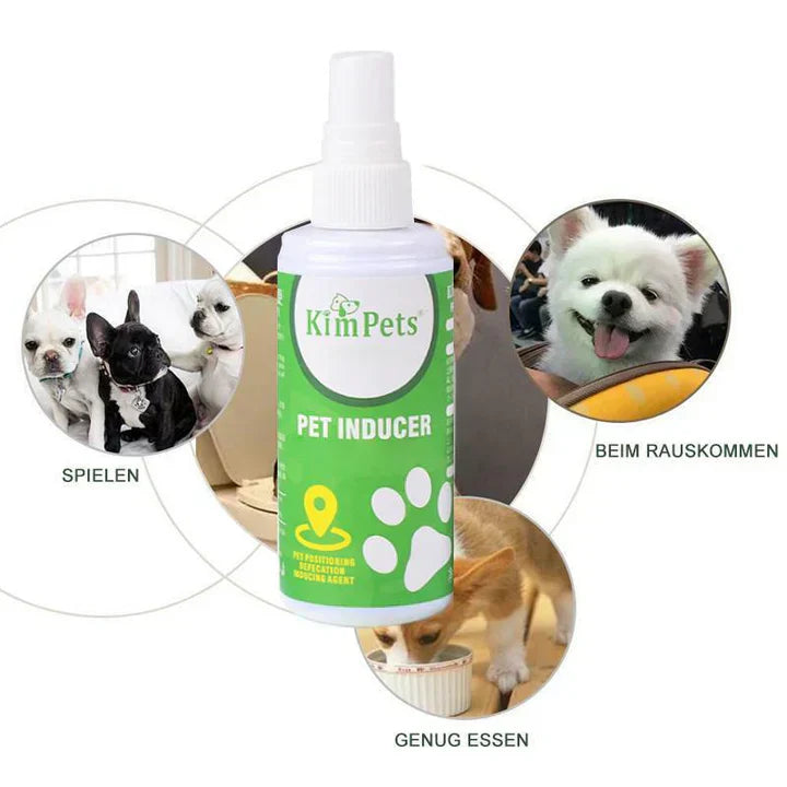 Cat Potty Training Spray, 8oz, designed to attract cats to designated potty areas for effective training.