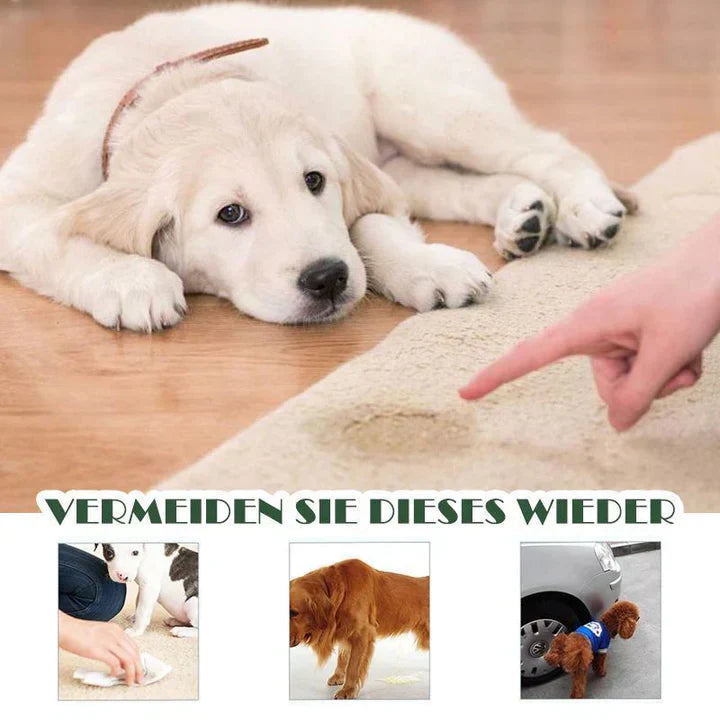 Pet house training spray for dogs and cats, 8oz, an essential pet care item for hygiene.