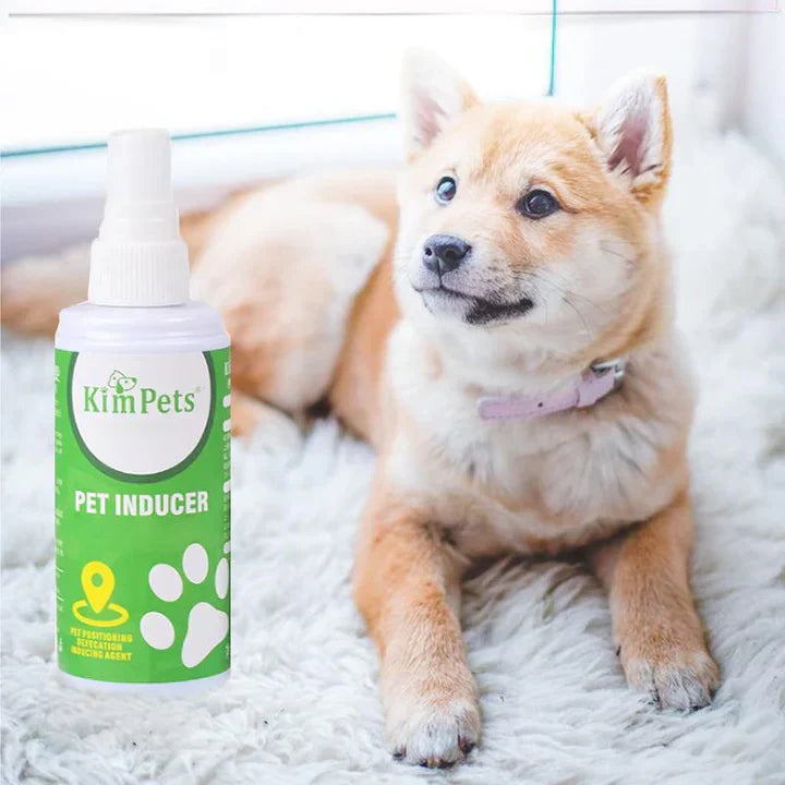 Pet Potty Training Aid Spray with a simple nozzle, clear label, for easy application and effective house training.