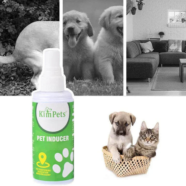 Pet Potty Training Aid Spray for both dogs & cats, 8oz, promotes better pet hygiene and faster learning.