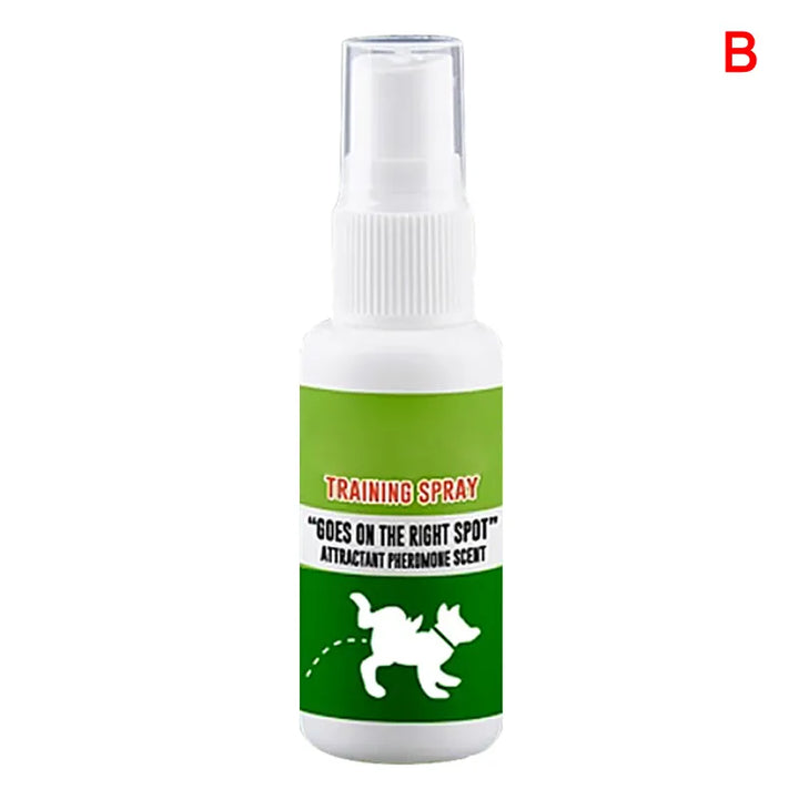 Care and More Pet Potty Training Spray, effective dog house training accessory