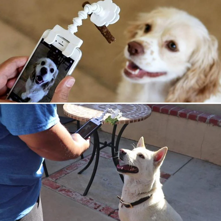 Pet selfie stick with treat holder for phone, universal for dog & cat photography