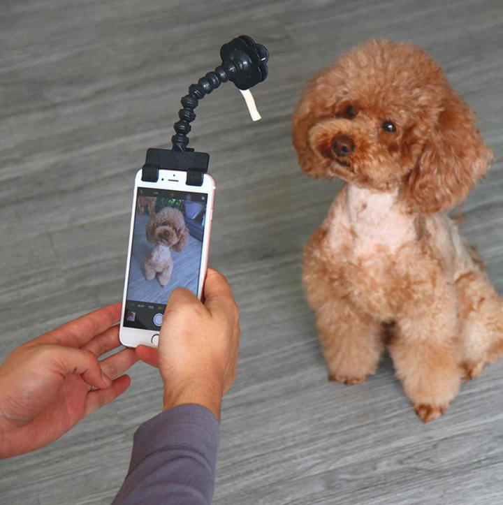 Universal pet selfie stick with clip-on treat holder, perfect for pet photography