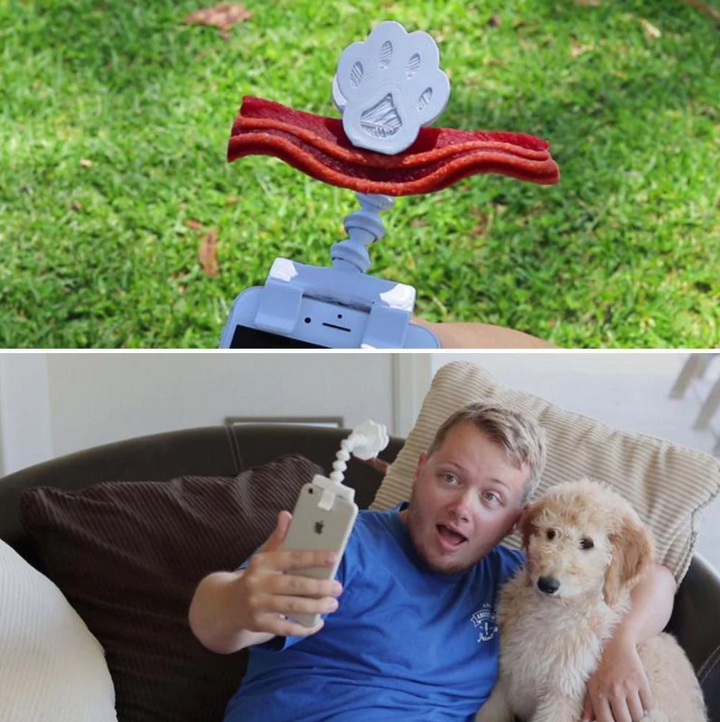 Dog selfie stick with a detachable treat holder, great for capturing pet moments