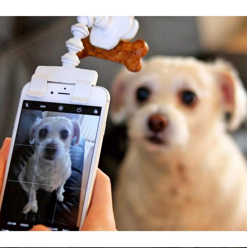 Cat selfie stick with treat gripper, easily attaches to phone for animal care photo