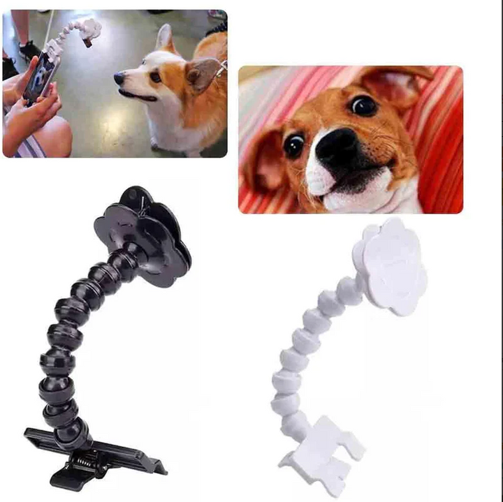 Animal care selfie stick: phone attachment with treat clip for perfect pet photos