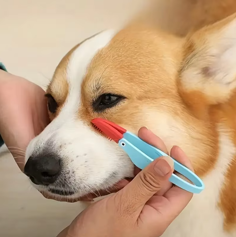 Pet tick removal tool tweezers for gentle & effective dog & cat tick extraction