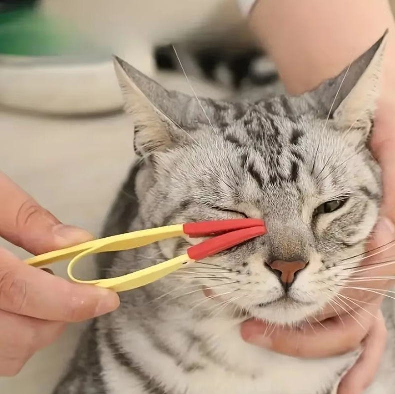 Close-up of pet tick remover, a precision grooming tool for canine & feline pest control