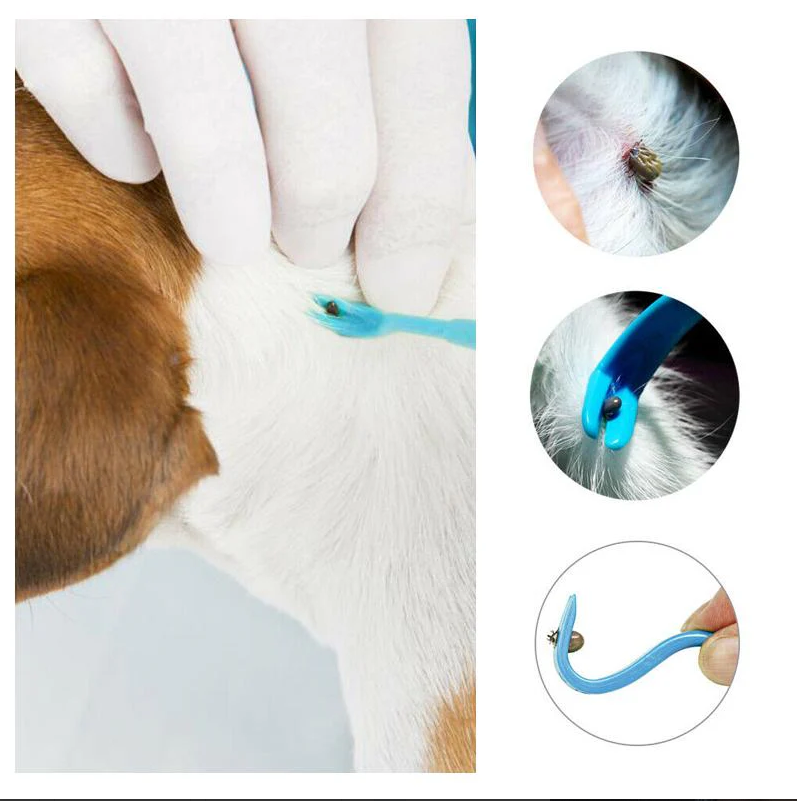 Pet owner using a tick remover hook on a dog, demonstrating safe and effective care
