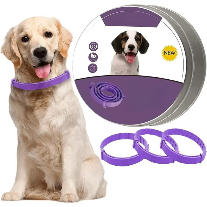 Pheromone-infused calming collar for dogs & cats, offering stress relief and anxiety reduction for pets.
