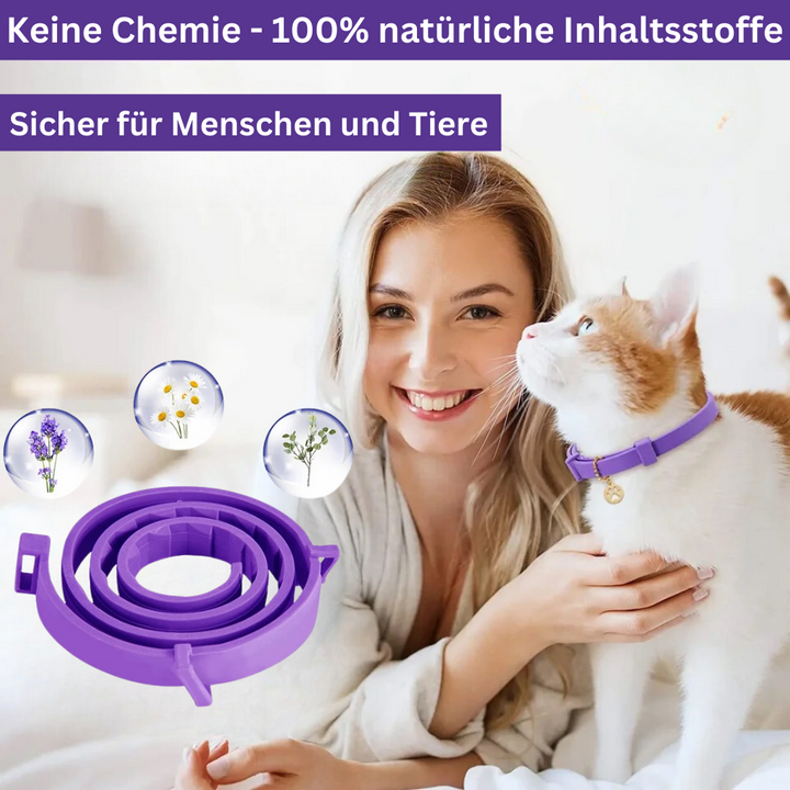 Adjustable waterproof calming collar with pheromone therapy for anxious dogs or cats, promoting pet comfort.
