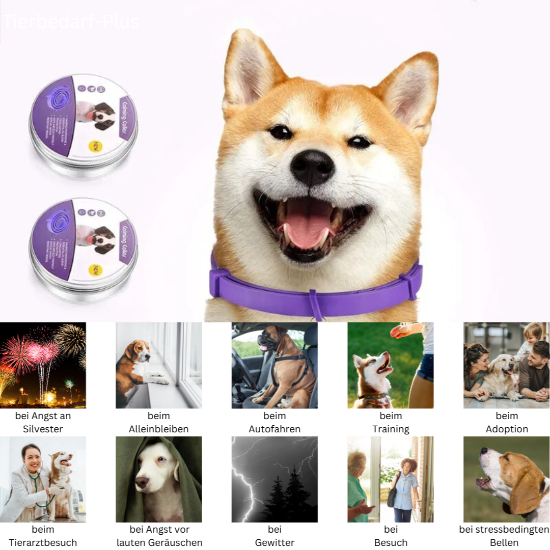 Close-up of a discreet, natural pet calming collar designed for everyday wear by dogs and cats.
